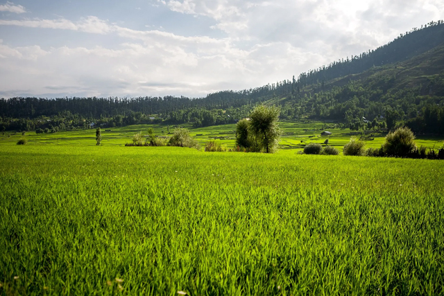 Lolab Valley