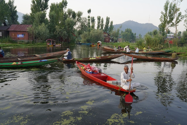 Wonder Of Kashmir